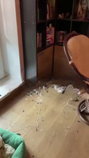 Квартира превратилась в голубятню после отъезда хозяйки в Таиланд