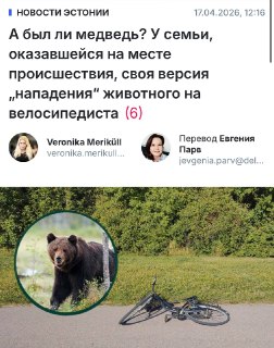 В Эстонии инцидент с нападением медведя на велосипедиста оказался несчастным случаем с пьяным водителем