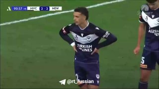 Чайки заполонили футбольный стадион в Мельбурне во время матча