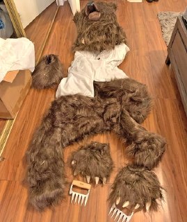 Иллюстрация 1