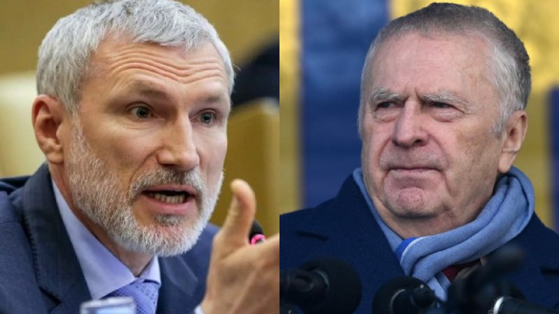 Жириновский просил Журавлева уйти из ЛДПР, но довести дело до конца не удалось