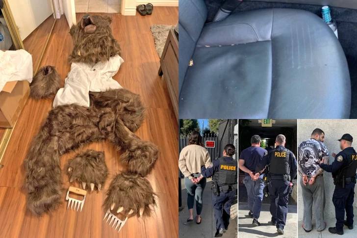 Банда «медвежатников» в Калифорнии приговорена к 6 месяцам за мошенничество со страховкой