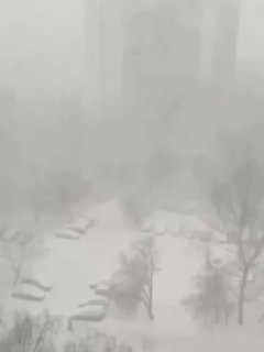 Зима вернулась в Подмосковье: сильный снегопад и предупреждения ГИБДД