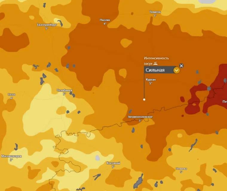 Курганская область на грани засухи