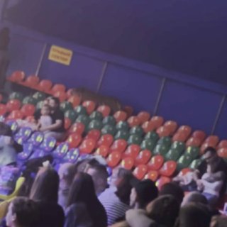 Тигр выпрыгнул в зал во время выступления в ростовском цирке