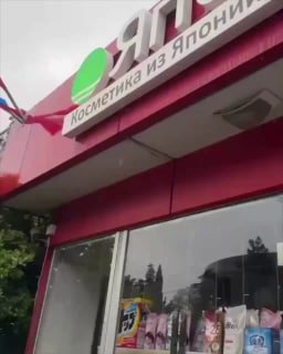 Енот-рецидивист разгромил магазин косметики в Дагомысе и уснул на месте преступления