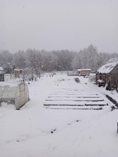 Иллюстрация 2