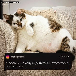 Юмористический пост про расставание и кота