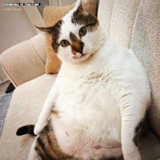 Иллюстрация 2