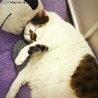 Иллюстрация 3