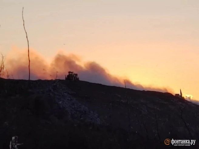 Иллюстрация 1