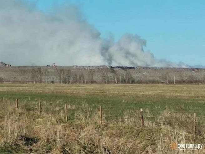 Иллюстрация 3