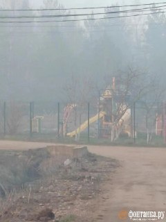 Иллюстрация 4