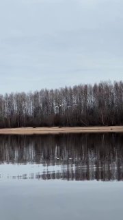 Философский пост о возвращении птиц от проекта «ЗвероПятница»