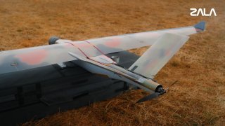 Иллюстрация 1