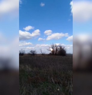 Иллюстрация 7