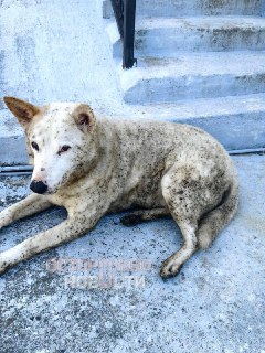 В Туапсе зафиксирован дождь с пеплом после атаки БПЛА на морской терминал