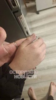 Иллюстрация 1