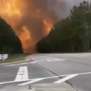 В США лесные пожары уничтожили более 50 домов