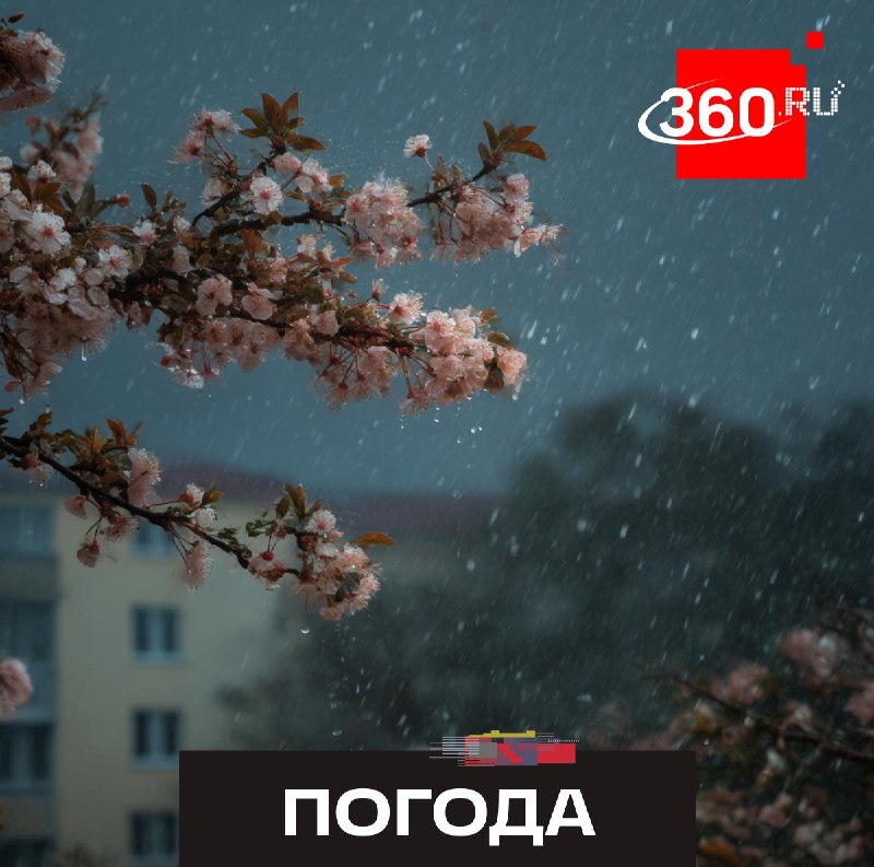 В столичном регионе ожидается дождь, мокрый снег и сильный ветер