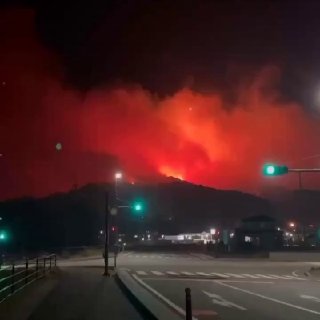 Иллюстрация 1