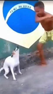 Иллюстрация 1