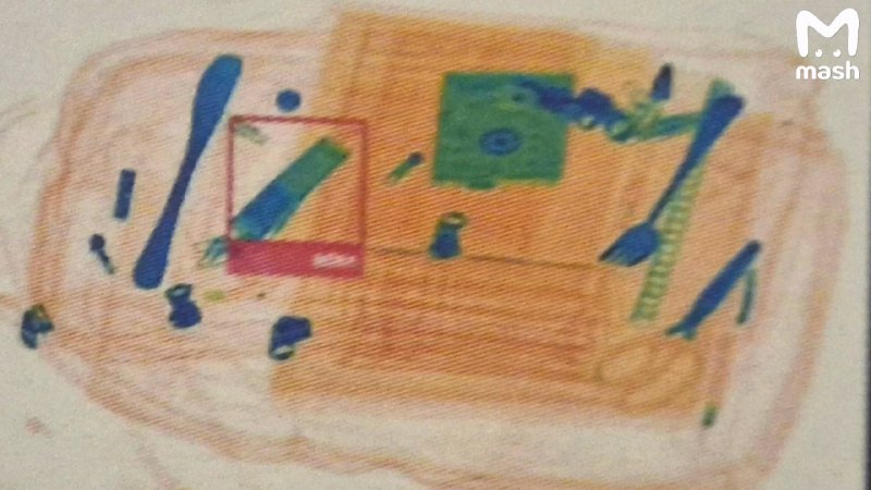 В российских школах начали использовать интроскопы для поиска вейпов в рюкзаках учеников