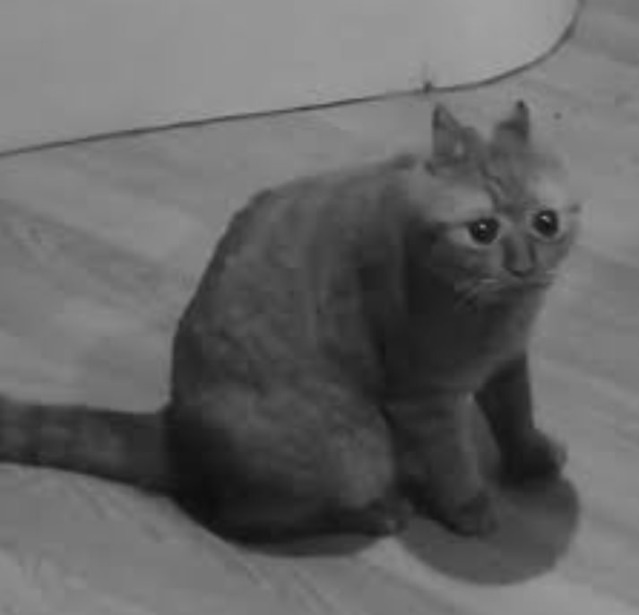 В России прогнозируют рост массовых увольнений из-за проблем в бюджетной сфере и замедления экономики