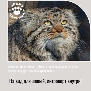 Иллюстрация 1