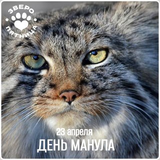 Иллюстрация 2