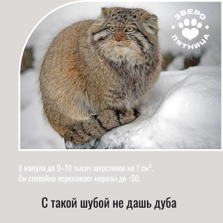 Иллюстрация 3