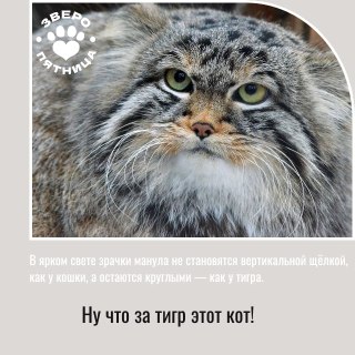 Иллюстрация 4