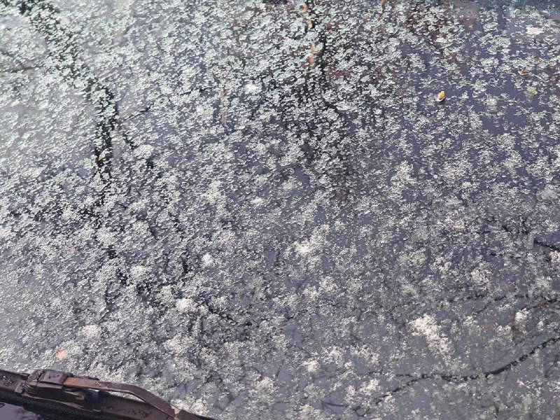 Иллюстрация 1