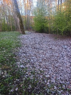 В Выборгском районе Петербурга после восхода солнца остался снег