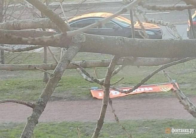 В Санкт-Петербурге из-за сильного ветра повреждены автомобили и конструкции, в Петергофе закрыли парки и дворец