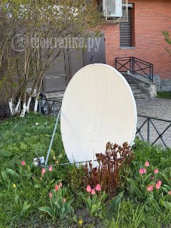 Иллюстрация 2