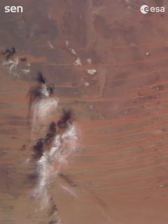 Иллюстрация 5