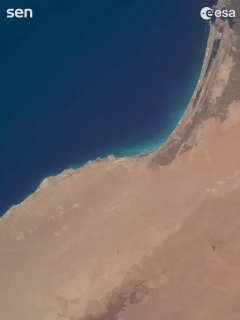 Иллюстрация 6