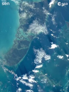 Иллюстрация 4