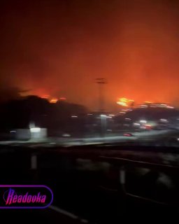 Иллюстрация 1