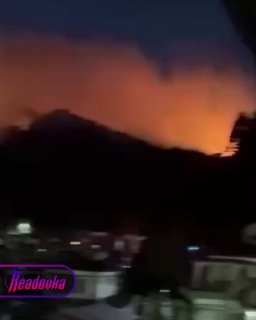 В Японии огонь уничтожил 200 гектаров лесного массива — эвакуированы почти 2 тыс человек