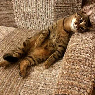 В Москве побит суточный рекорд низкого атмосферного давления