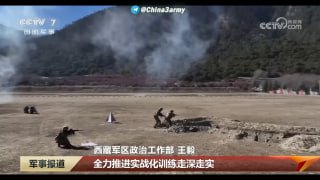 В Китае проводятся испытания робопсов со звуковым оружием