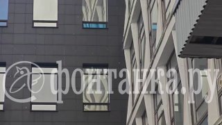 В Петербурге снова выпал снег