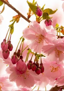 Иллюстрация 2