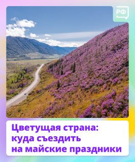 Куда поехать на майские праздники, чтобы увидеть цветущие луга