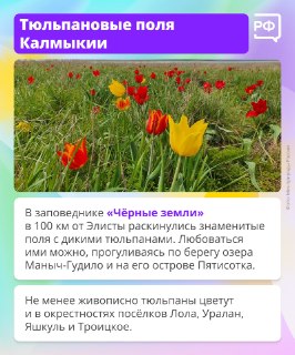 Иллюстрация 3