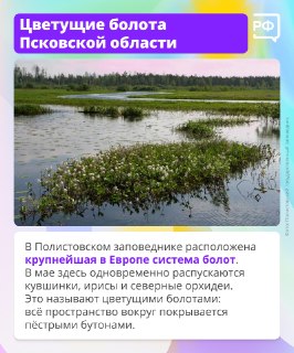 Иллюстрация 4