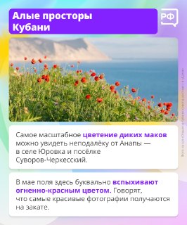 Иллюстрация 5