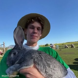 Иллюстрация 1